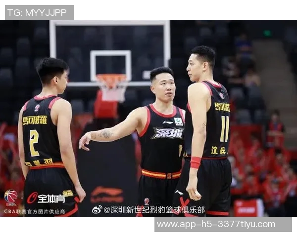 CBA上海队对阵深圳队今晚精彩对决比分预测与分析