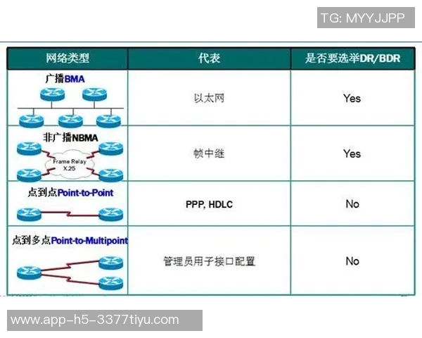 MVP全称解析及其在各领域中的重要性与应用实例详解
